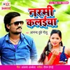 About Narmi Kalaiya Me Song